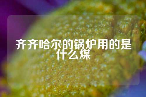 齐齐哈尔的锅炉用的是什么煤