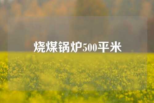 烧煤锅炉500平米