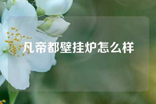 凡帝都壁挂炉怎么样