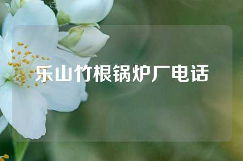 乐山竹根锅炉厂电话