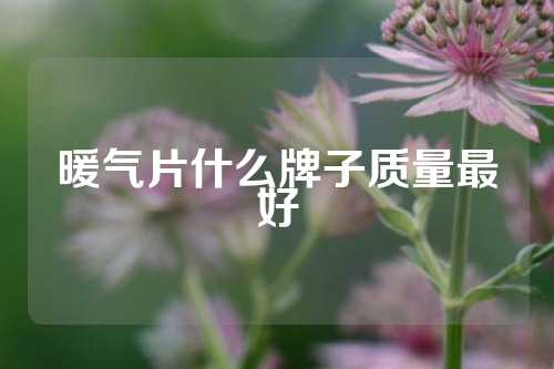 暖气片什么牌子质量最好