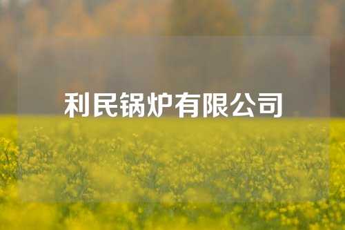 利民锅炉有限公司