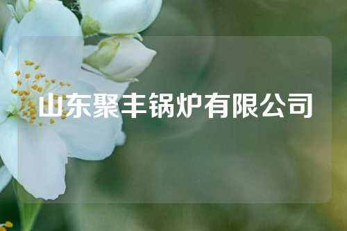 山东聚丰锅炉有限公司