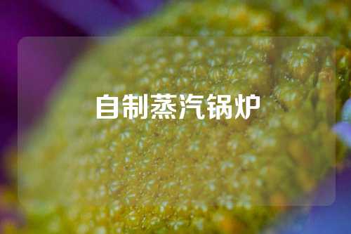 自制蒸汽锅炉