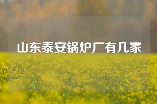 山东泰安锅炉厂有几家