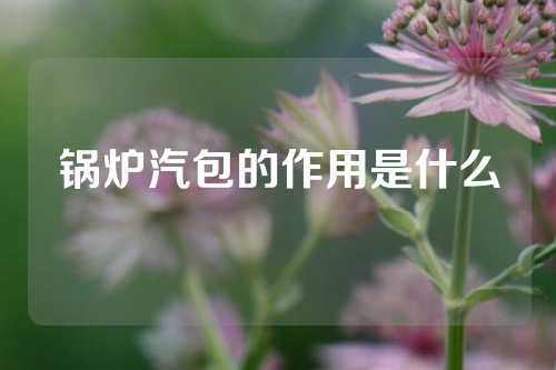 锅炉汽包的作用是什么