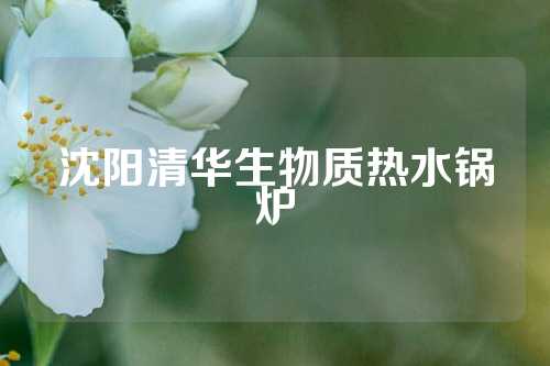 沈阳清华生物质热水锅炉