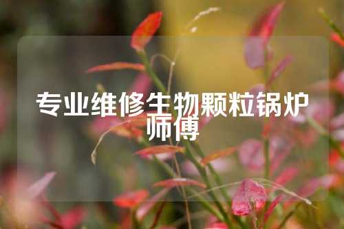 专业维修生物颗粒锅炉师傅