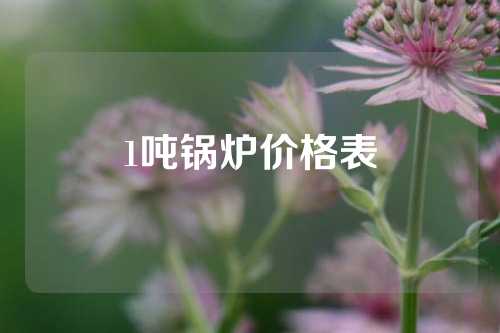 1吨锅炉价格表