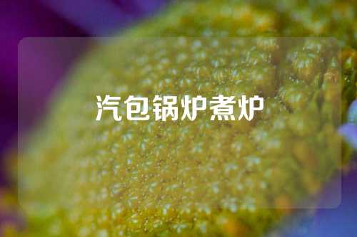 汽包锅炉煮炉