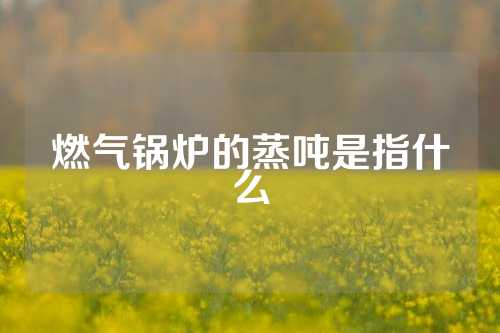 燃气锅炉的蒸吨是指什么