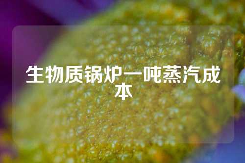 生物质锅炉一吨蒸汽成本