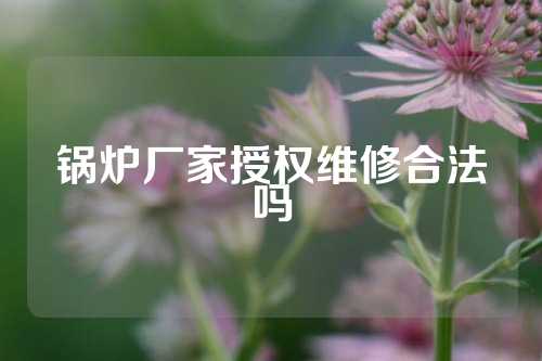 锅炉厂家授权维修合法吗