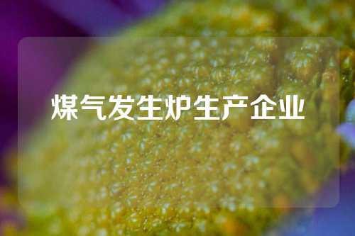 煤气发生炉生产企业