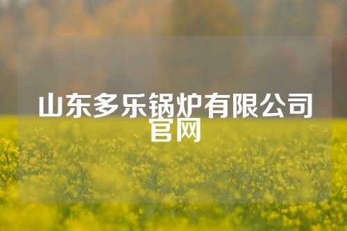 山东多乐锅炉有限公司官网