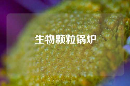 生物颗粒锅炉