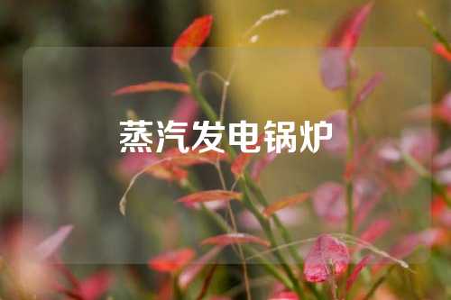 蒸汽发电锅炉