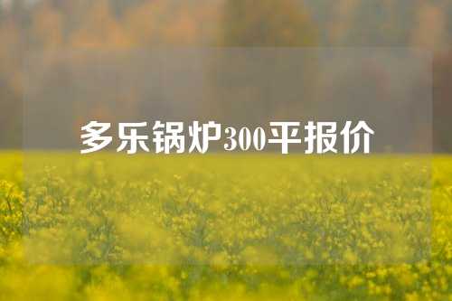 多乐锅炉300平报价