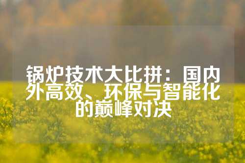 锅炉技术大比拼：国内外高效、环保与智能化的巅峰对决