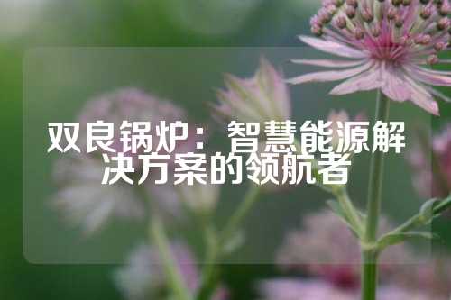 双良锅炉：智慧能源解决方案的领航者