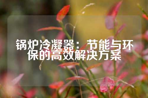 锅炉冷凝器：节能与环保的高效解决方案