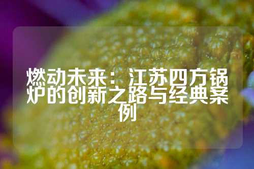 燃动未来：江苏四方锅炉的创新之路与经典案例