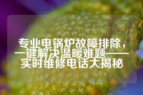 专业电锅炉故障排除，一键解决温暖难题——实时维修电话大揭秘