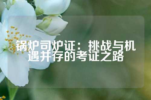 锅炉司炉证：挑战与机遇并存的考证之路