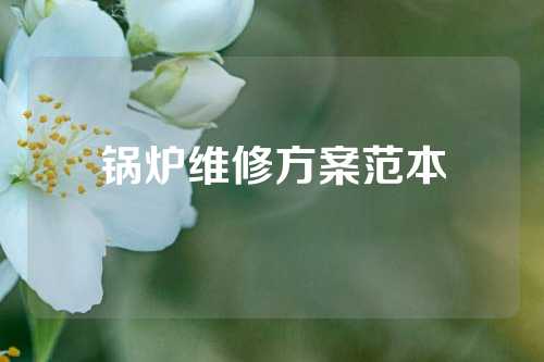 锅炉维修方案范本