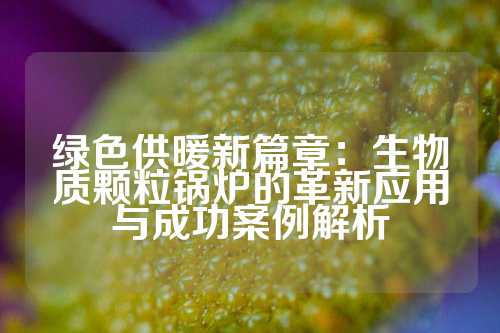 绿色供暖新篇章：生物质颗粒锅炉的革新应用与成功案例解析