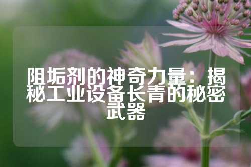 阻垢剂的神奇力量：揭秘工业设备长青的秘密武器