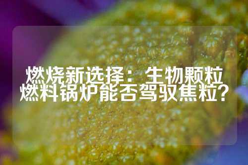 燃烧新选择：生物颗粒燃料锅炉能否驾驭焦粒？