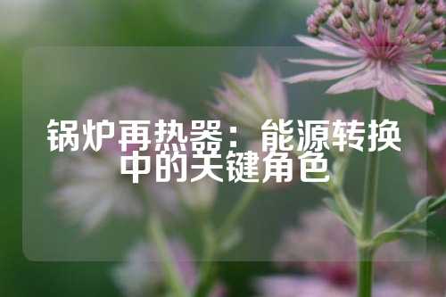 锅炉再热器：能源转换中的关键角色