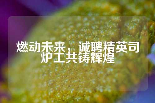 燃动未来，诚聘精英司炉工共铸辉煌