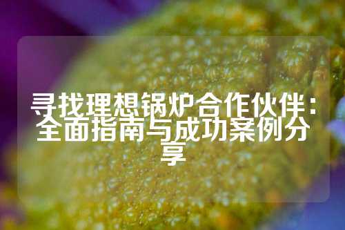 寻找理想锅炉合作伙伴：全面指南与成功案例分享