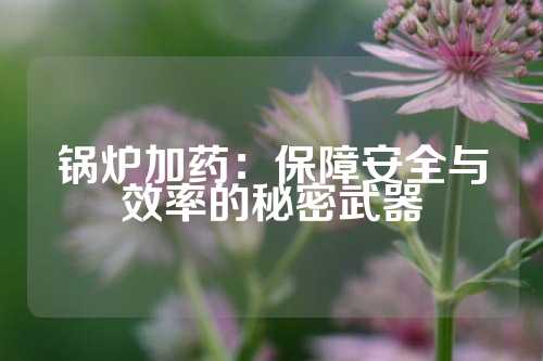 锅炉加药：保障安全与效率的秘密武器