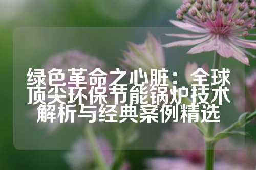 绿色革命之心脏：全球顶尖环保节能锅炉技术解析与经典案例精选