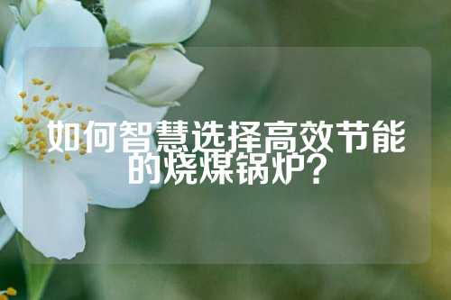 如何智慧选择高效节能的烧煤锅炉？