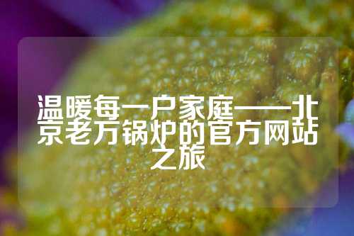 温暖每一户家庭——北京老万锅炉的官方网站之旅