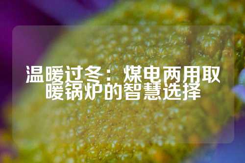 温暖过冬：煤电两用取暖锅炉的智慧选择