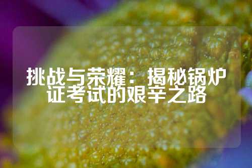 挑战与荣耀：揭秘锅炉证考试的艰辛之路