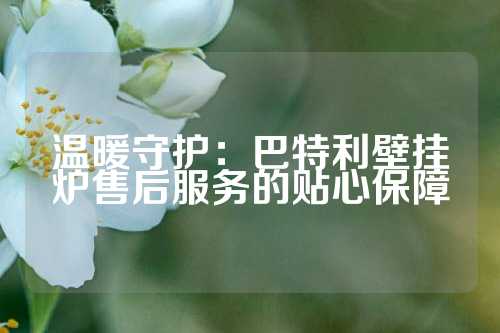 温暖守护：巴特利壁挂炉售后服务的贴心保障