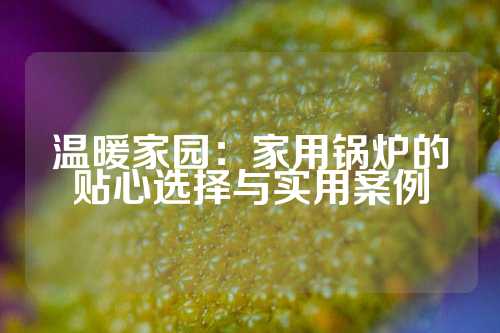 温暖家园：家用锅炉的贴心选择与实用案例