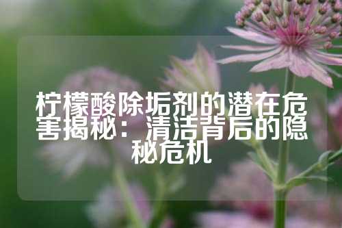 柠檬酸除垢剂的潜在危害揭秘：清洁背后的隐秘危机