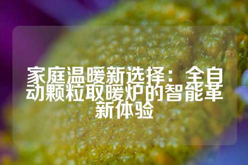 家庭温暖新选择：全自动颗粒取暖炉的智能革新体验