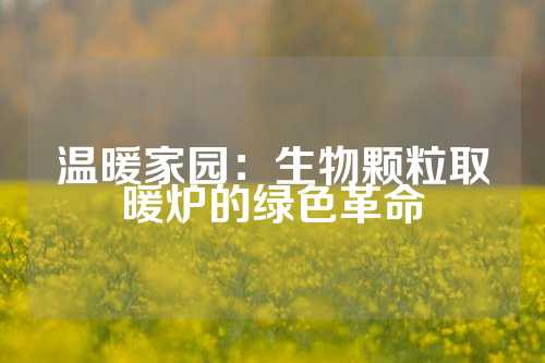 温暖家园：生物颗粒取暖炉的绿色革命