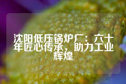 沈阳低压锅炉厂：六十年匠心传承，助力工业辉煌