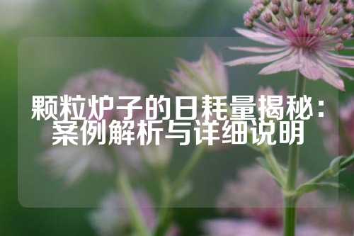 颗粒炉子的日耗量揭秘：案例解析与详细说明