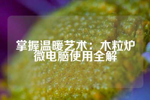 掌握温暖艺术：木粒炉微电脑使用全解