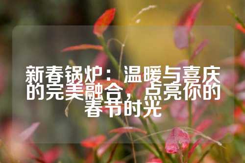 新春锅炉：温暖与喜庆的完美融合，点亮你的春节时光